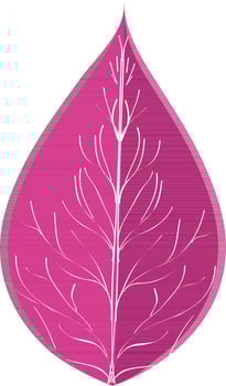 Flat isolated illustration of decorative leaf. vector