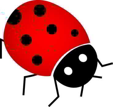 Flat vector illustration of ladybug.