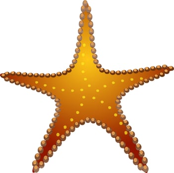 Decorative star element in brown color. vector
