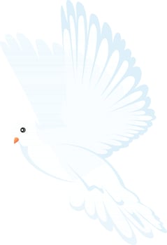 Beautiful illustration of flying dove bird. vector
