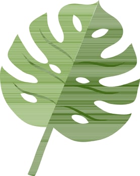 Monstera leaf icon in flat style. vector