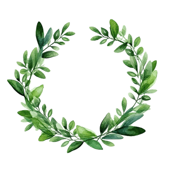 Green leaves watercolor wreath isolated. Illustration png