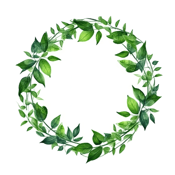 Green leaves watercolor wreath isolated. Illustration png