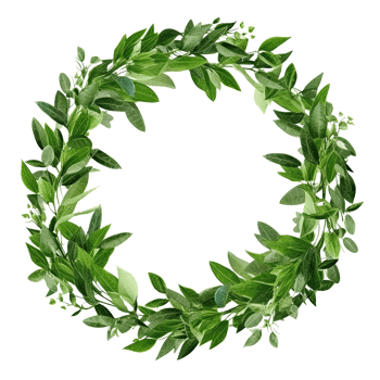 Green leaves watercolor wreath isolated. Illustration png