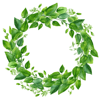 Green leaves watercolor wreath isolated. Illustration png