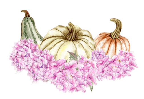 Fall composition with pink hydrangea and pumpkins. png