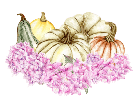 Fall composition with pink hydrangea and pumpkins. png
