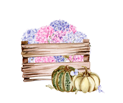 Fall composition with pink hydrangea and pumpkins. png