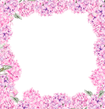Autumn square frame with pink hydrangea. png