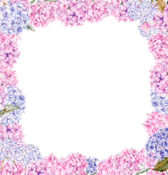 Autumn square frame with blue and pink hydrangea. png