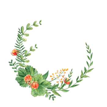Cloudberry wreath, leaves, berries, green branches and yellow flowers. Watercolor hand drawn illustration. For greeting cards, invitations, save the date, logos png