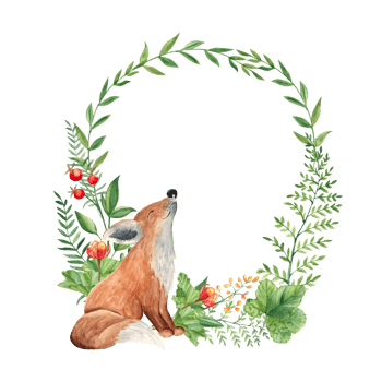 Woodland baby fox animal watercolor wreath with green branches and leaves, fern, cloudberry and red berries. Floral illustration for nursery, greeting cards, invitations, save the date, logos. png
