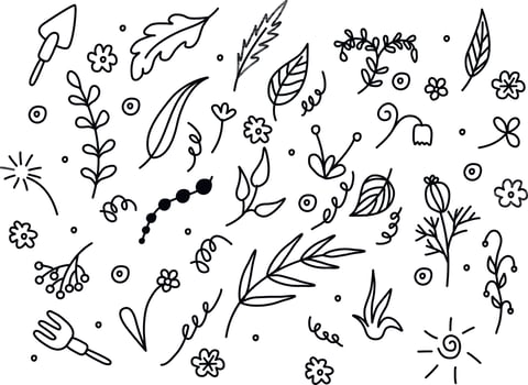 Vector set of different doodles. Hand drawn elements for concept designs. Doodle illustration. Vector template for decoration. Doodle flowers, herbs, leaves, berries, garden elements