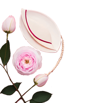 Pink white rose isolated generative with AI png