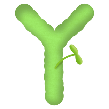 Green english alphabet and little tree png