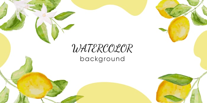 Banner with lemon flowers, citrus branch and leaves. vector