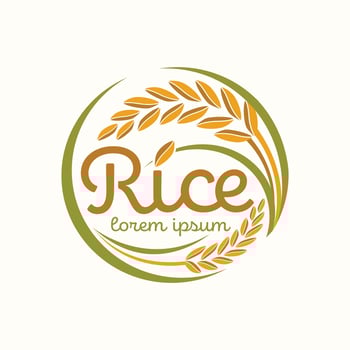 paddy rice premium organic natural product banner logo vector design