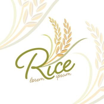 paddy rice premium organic natural product banner logo vector design