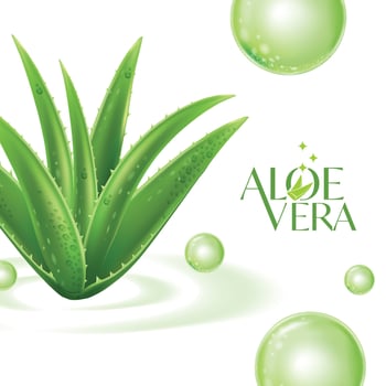 Aloe Vera collagen Serum Skin Care Cosmetic. vector