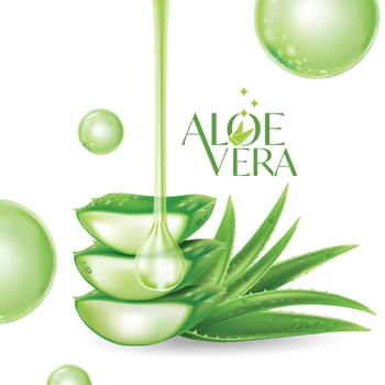 Aloe Vera collagen Serum Skin Care Cosmetic. vector