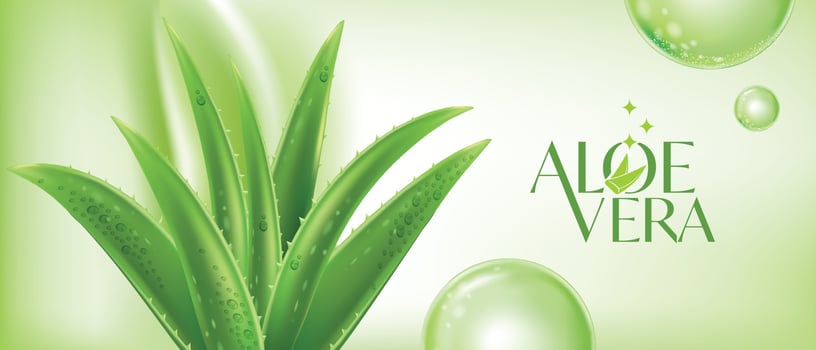 Aloe Vera collagen Serum Skin Care Cosmetic. vector