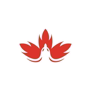 maple leaf eagle logo vector. maple leaf with eagle logo symbol vector icon illustration