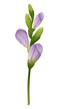 Beautiful purple freesia flower on an isolated background. Design element for wedding invitations, cards. Vintage Floral of Blooming Freesia vector