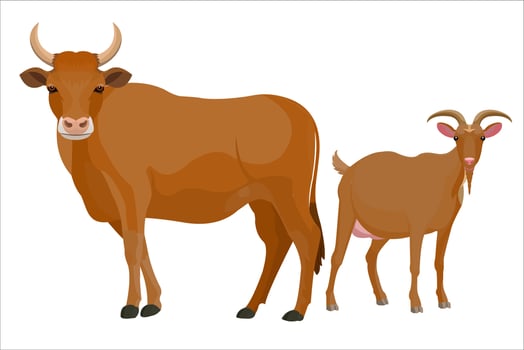 vector illustration of cow and goat animals