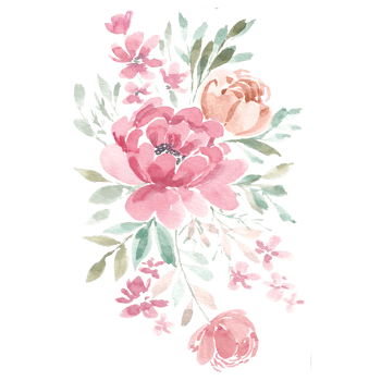 Red Peony Watercolor Flower png