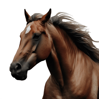 Majestic Brown Stallion Galloping in the Wild generative with AI png