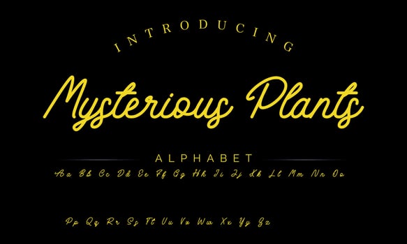 Lettering signature font isolated on grey background. brus style alphabet. Vector logo letters.