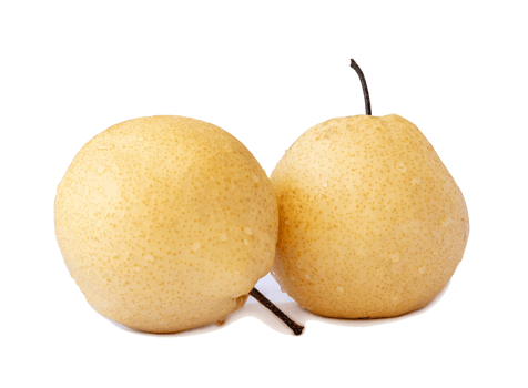 Two fresh yellow Chinese pears isolated with clipping path and shadow in png file format