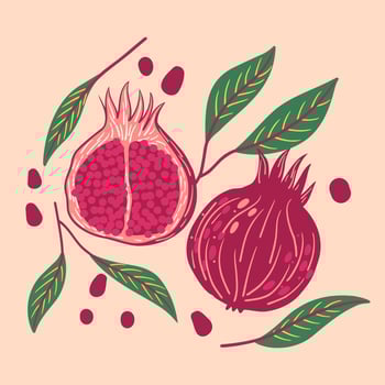 Hand drawn pomegranate fruit and plant. colored illustration. Juicy natural fruit. Food healthy ingredient. For cooking, cosmetic package design, medicinal herb, treating, half care, prints. vector