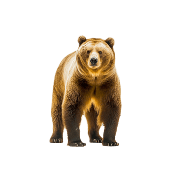 Polar bear png generative ai