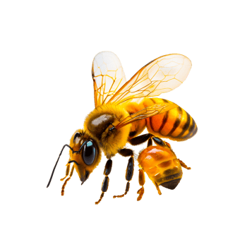 honey bee png generative ai