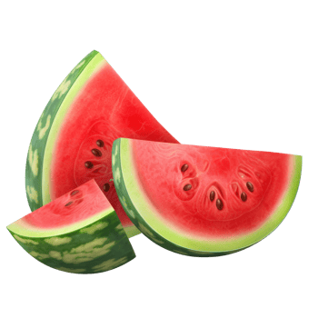 Fresh watermelon isolated. Illustration png