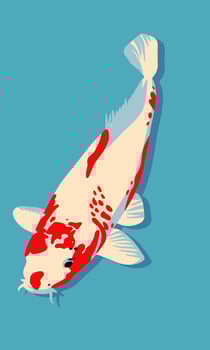 Koi fish. Vector illustration in flat style