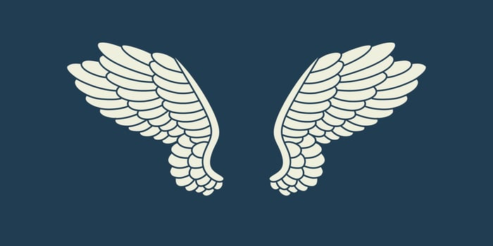 Vector logo icon white angel wings