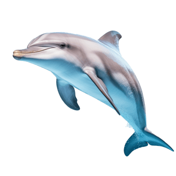 Dolphin isolated on background with png