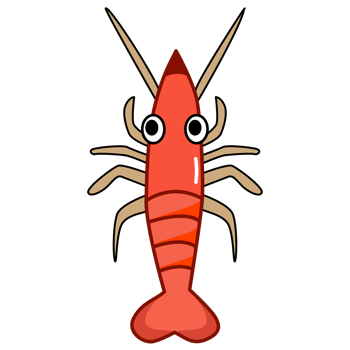 Red prawn. Cute shrimp illustration png