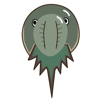 Cute horseshoe crab cartoon illustration isolated png
