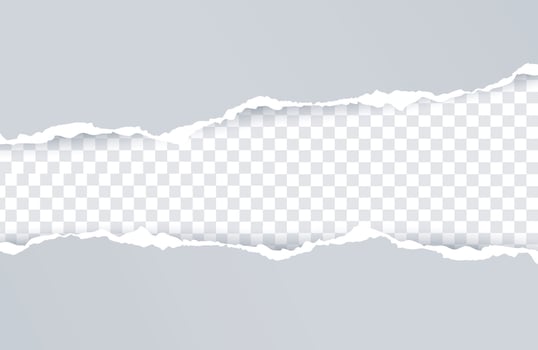 The Beauty of whiteTorn Paper vector