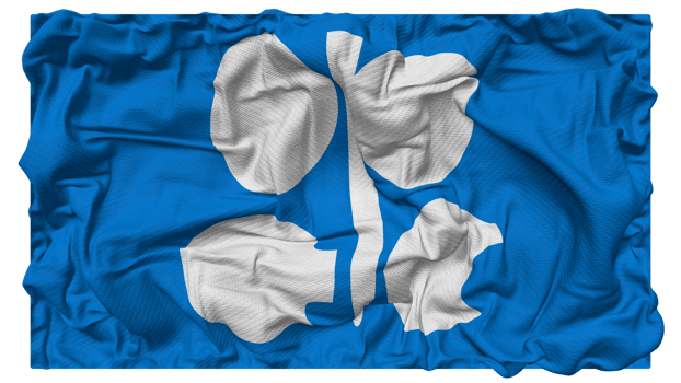 Organization of the Petroleum Exporting Countries, OPEC Flag Waves with Realistic Bump Texture, Flag Background, 3D Rendering png