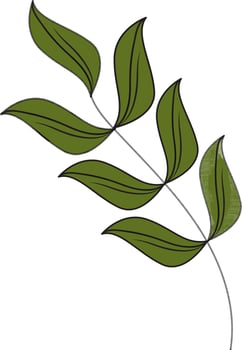 Green Leaves Branch Flat Element On White Backgroound. vector