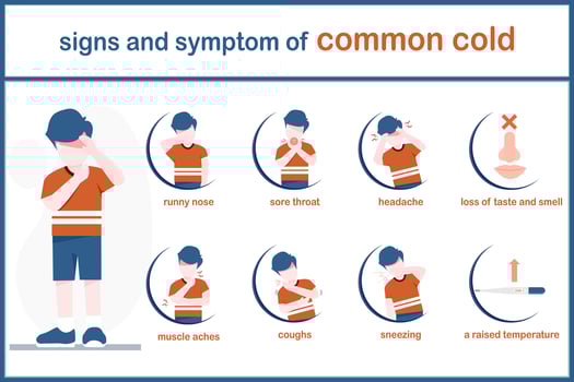 Infographic illustration of symptoms of common cold.vector illustration. flat style. vector