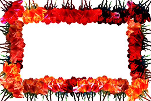 icon frame with roses png