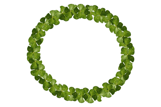 round circle frame of clover png