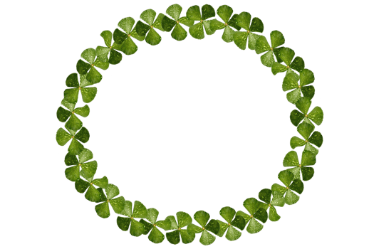 round circle frame of clover png