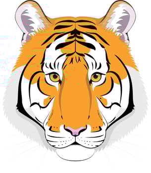 Tiger head in cartoon style. Vector illustration