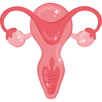 uterus feminine organ isolated icon png